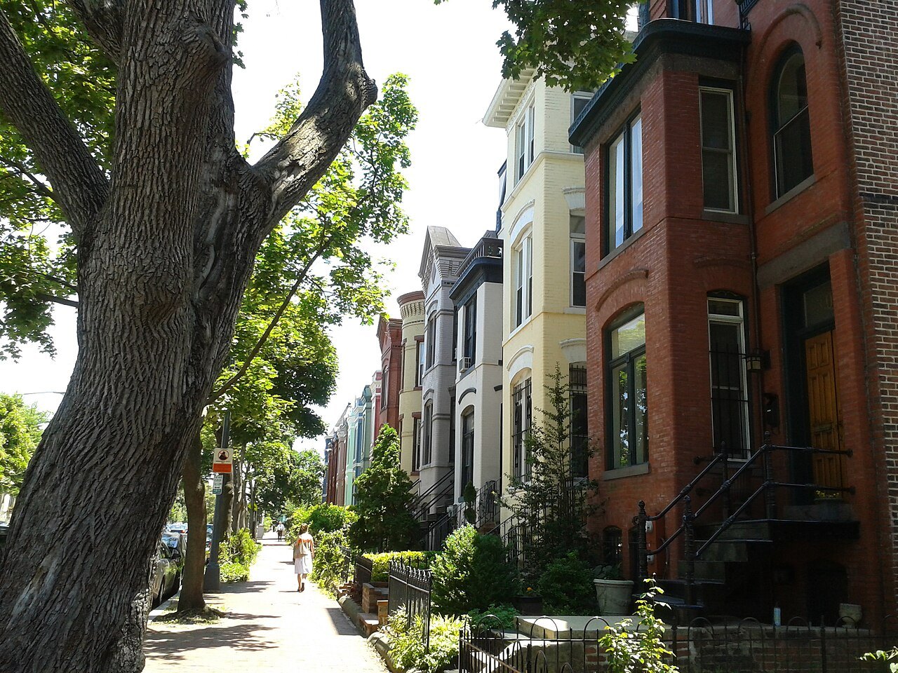 A tree-lined street of Capitol Hill rowhouses