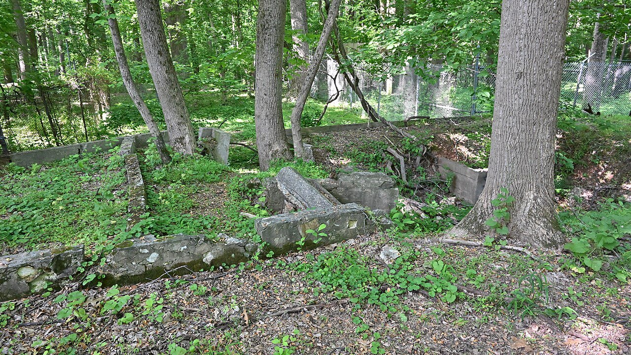The ruined foundations of an old gold mine building in the woods near Great Falls