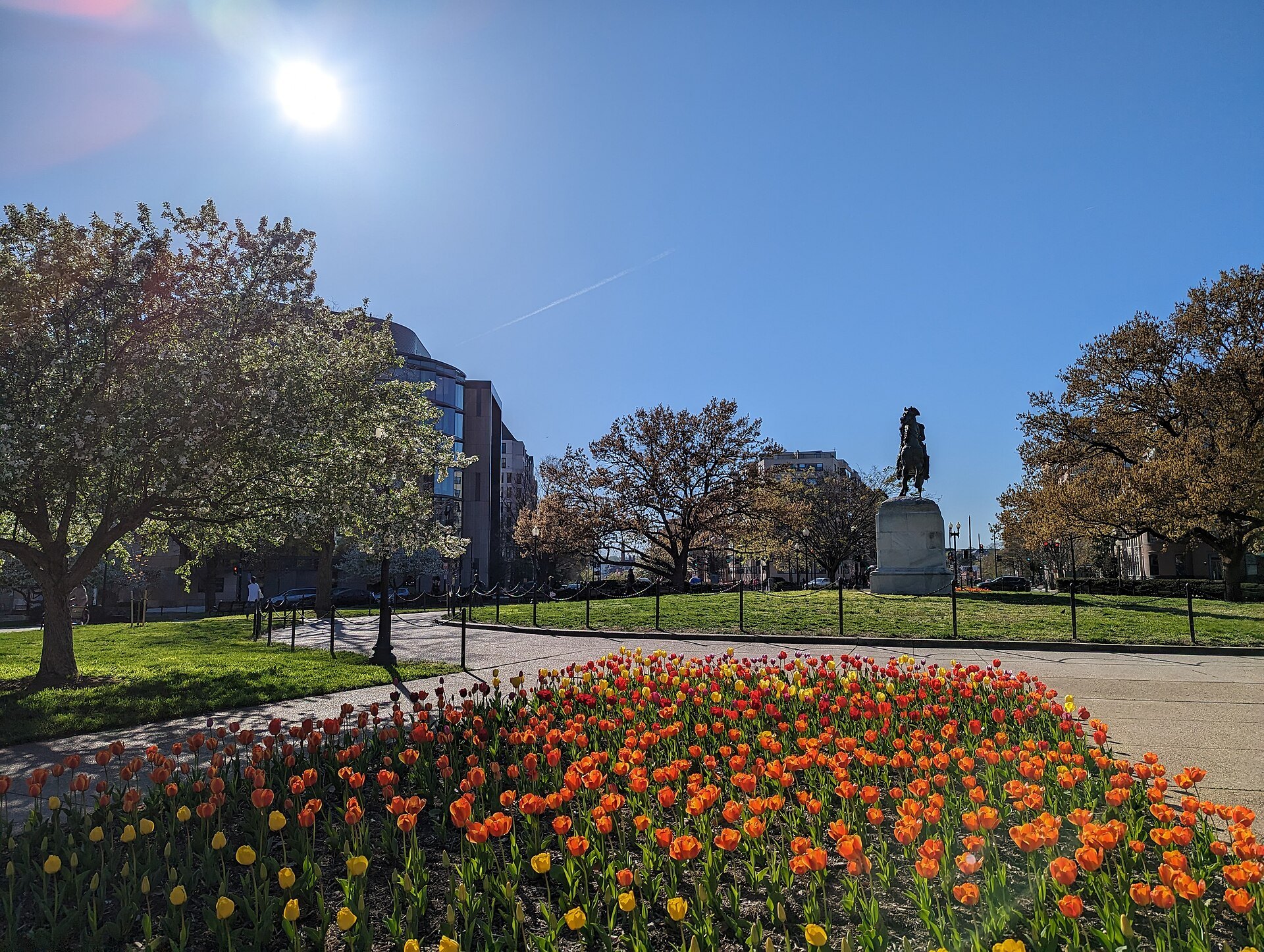 Tulips round the statue of Washington in Washington Circle