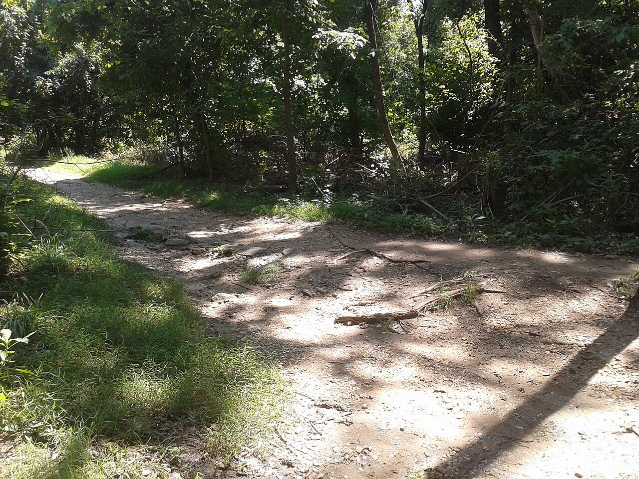 A shaded walking trail on Theodore Roosevelt Island in the Potomac