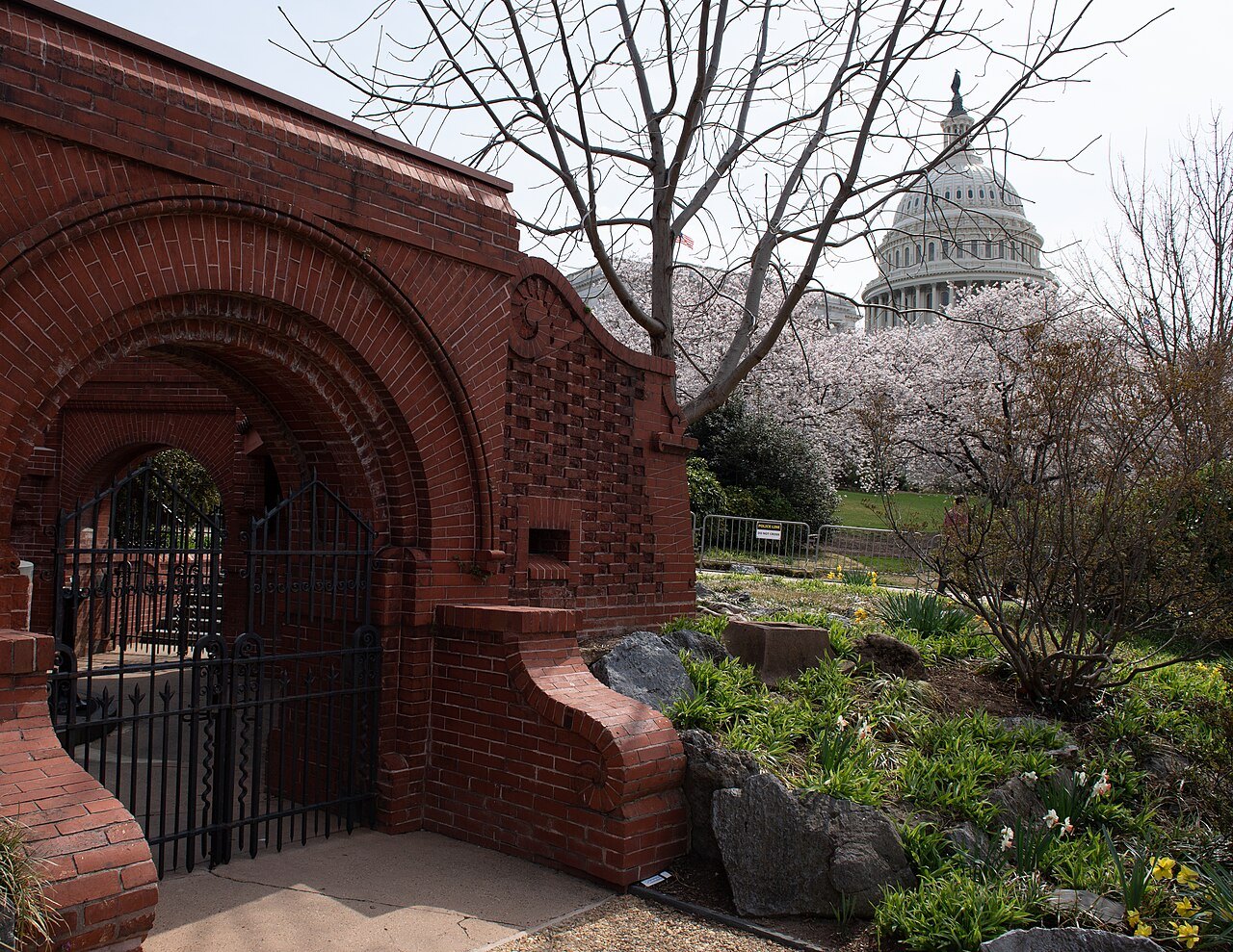 The red-brick Summerhouse on the Capitol grounds, cherry blossom and the dome beyond