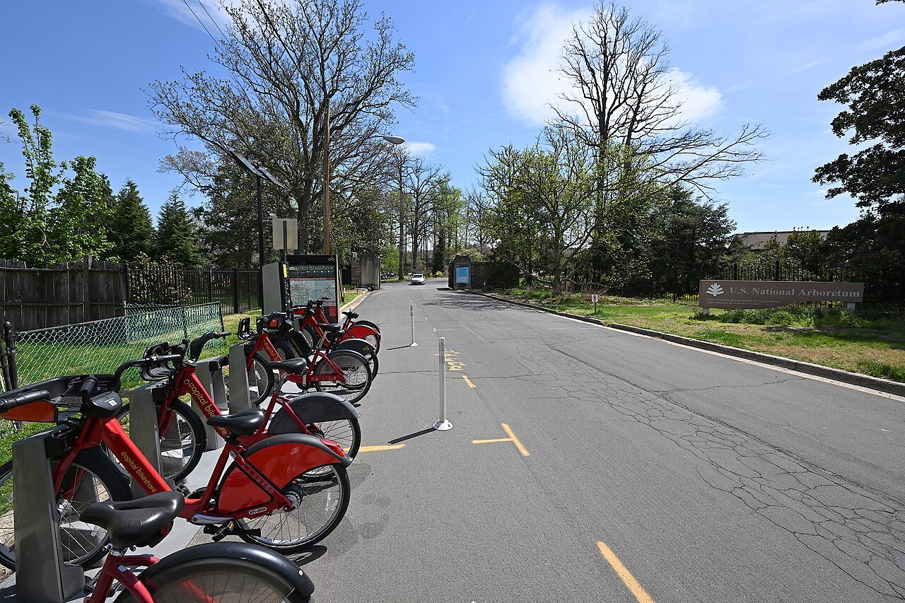 A Capital Bikeshare dock of red bikes beside a quiet road