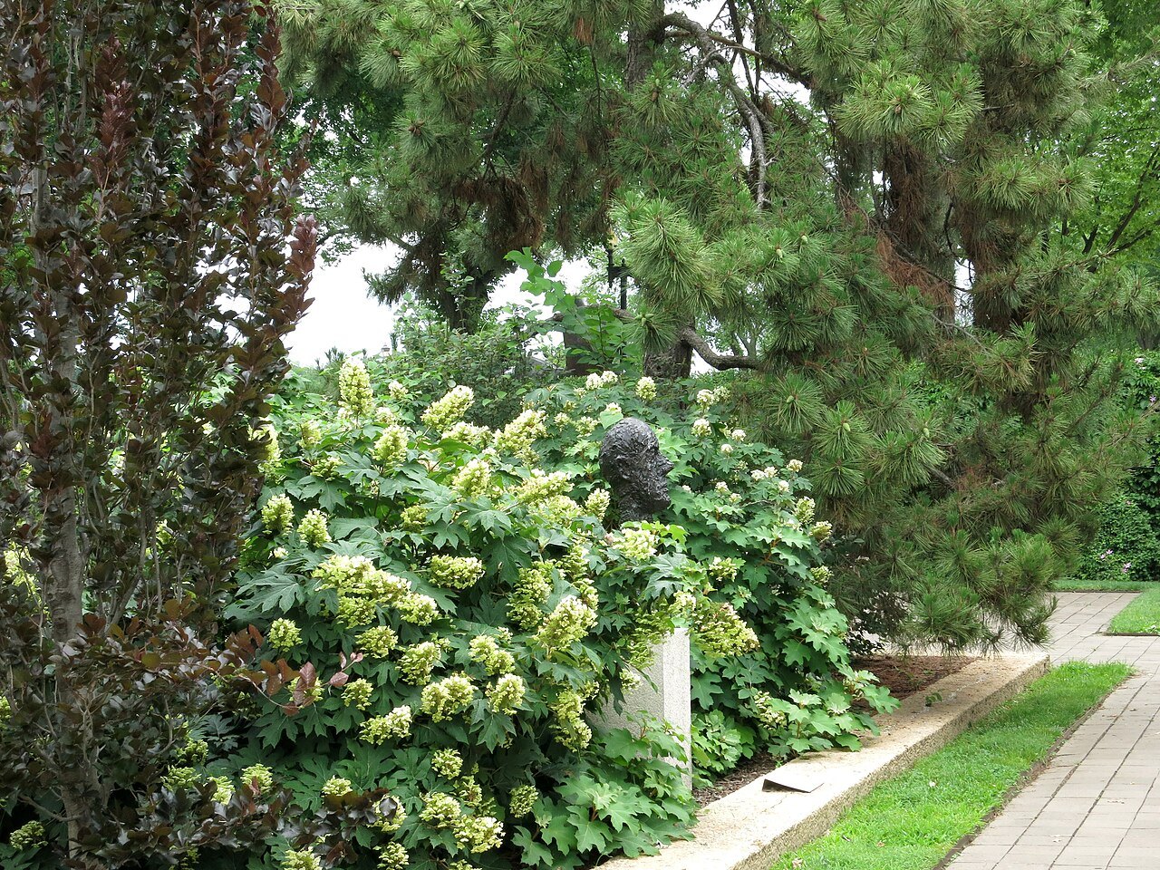 A bronze figure among flowering shrubs in the Hirshhorn's sculpture garden