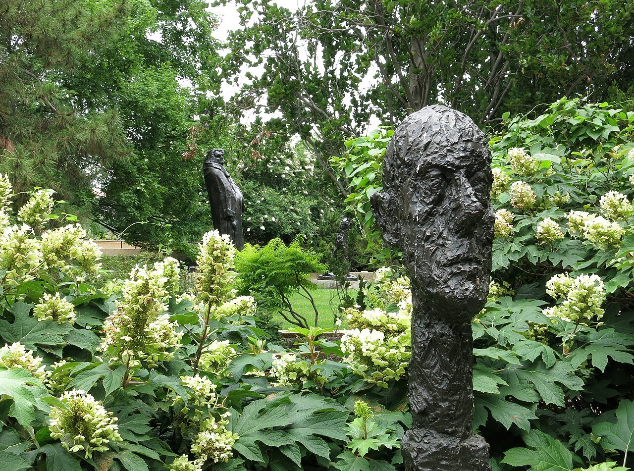 A bronze head set among white hydrangeas in the sculpture garden in June
