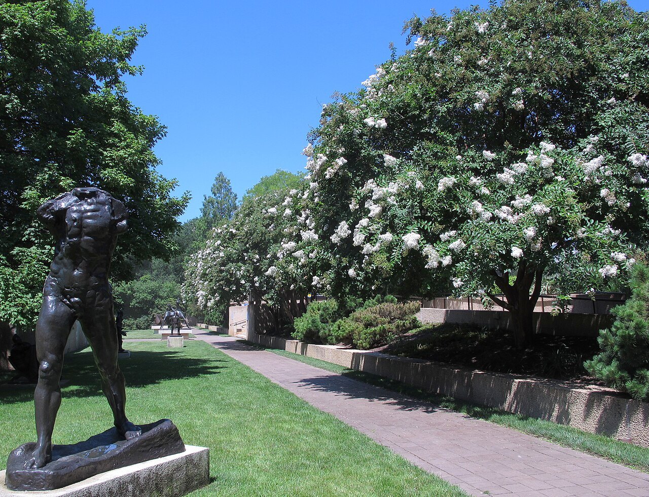 Rodin's Walking Man on the lawn of the Hirshhorn's garden in July