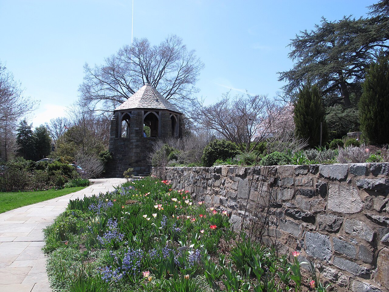 The Bishop's Garden in April, tulips under its stone walls