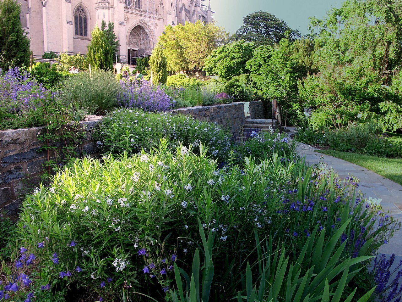 The Bishop's Garden in May, the cathedral's south side above