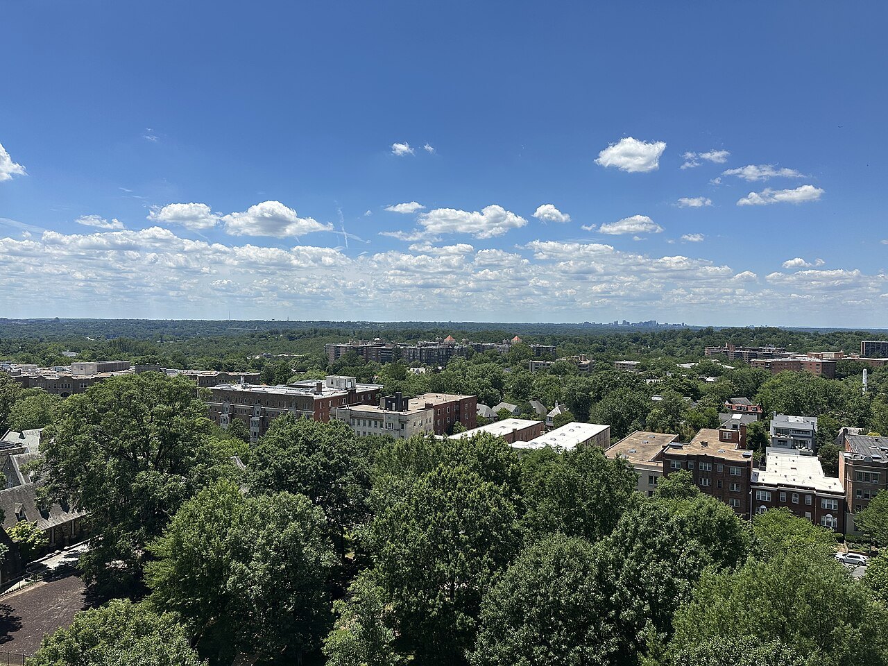 Upper Northwest's rooftops and trees from the cathedral, looking west