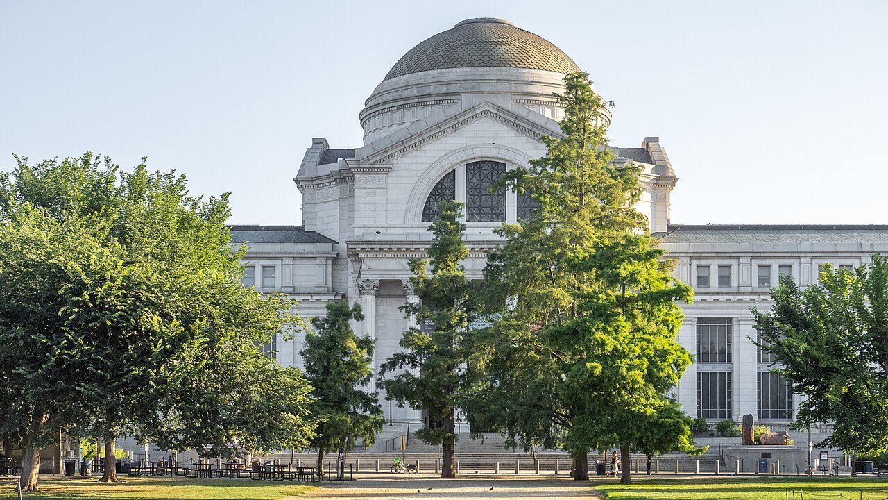 The Natural History Museum's green dome above the trees of the Mall