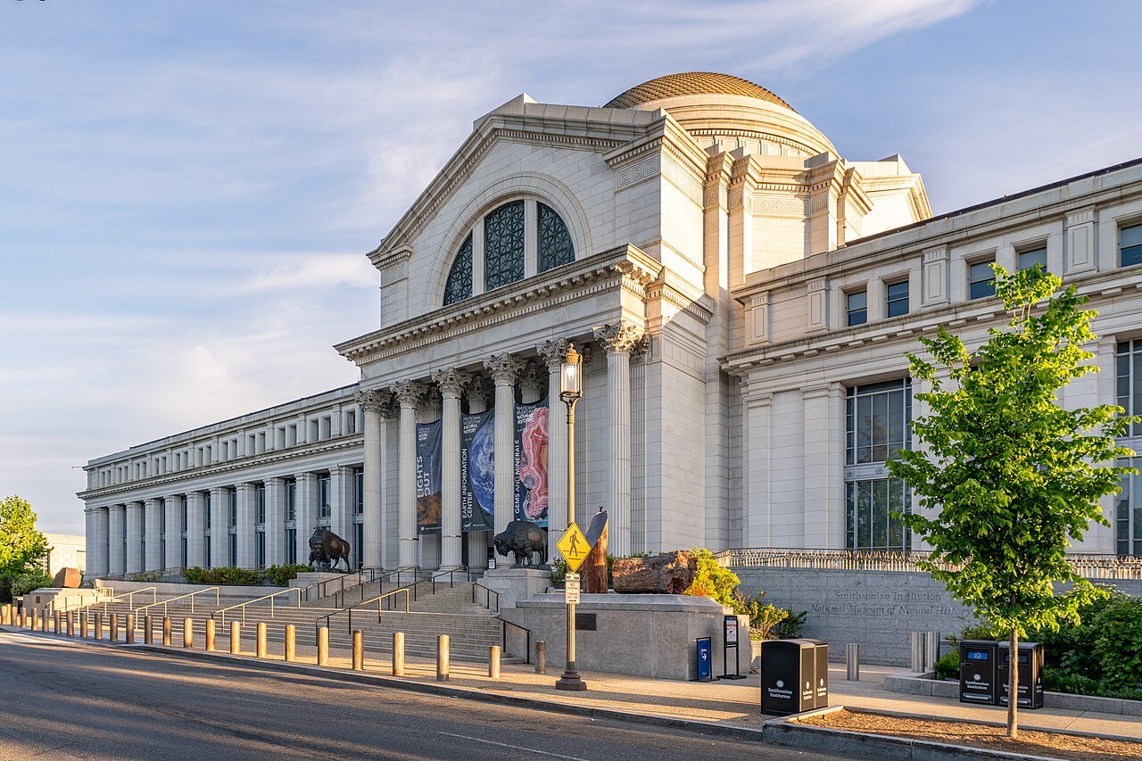 The National Museum of Natural History