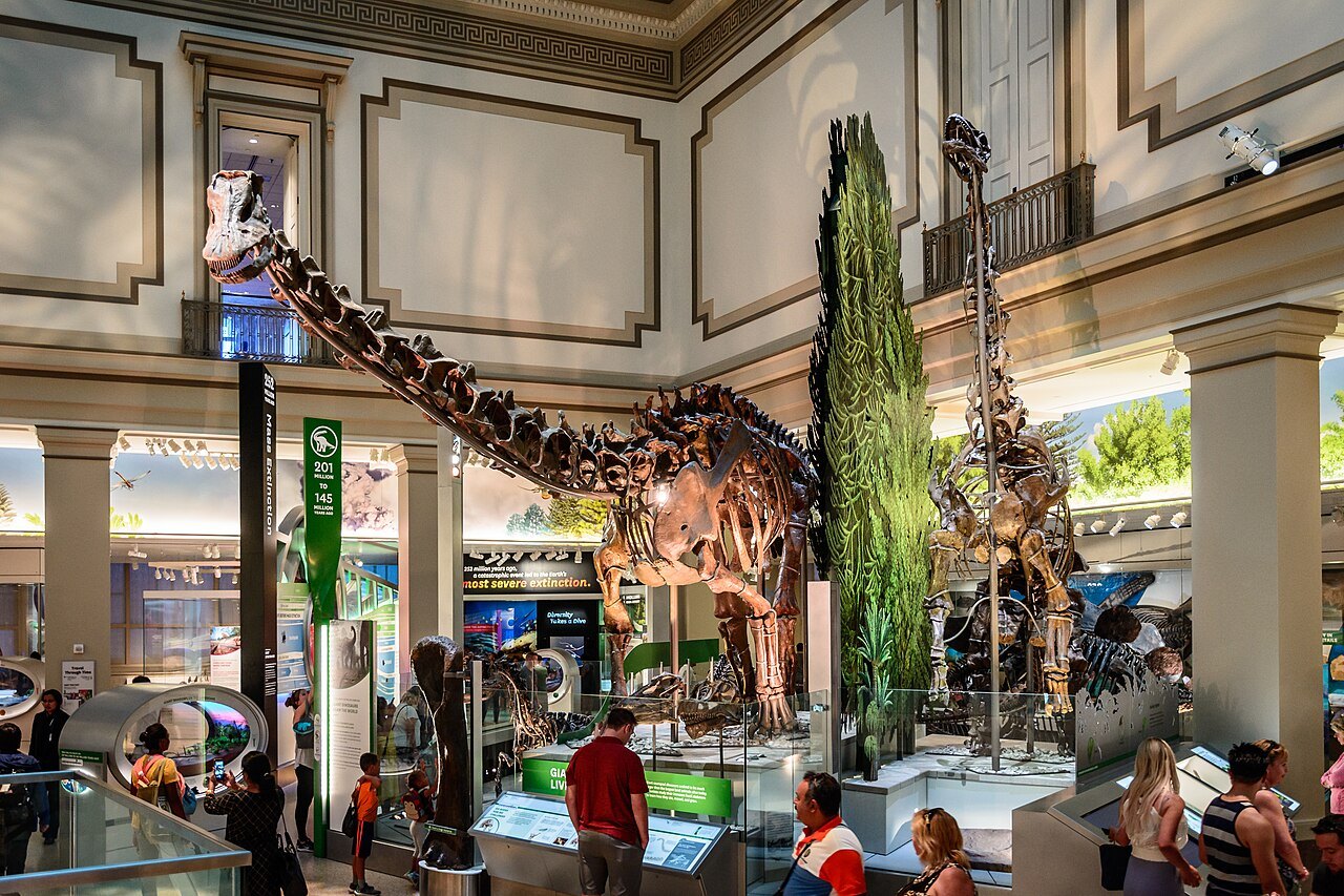 Dinosaur skeletons in the fossil hall of the Natural History Museum
