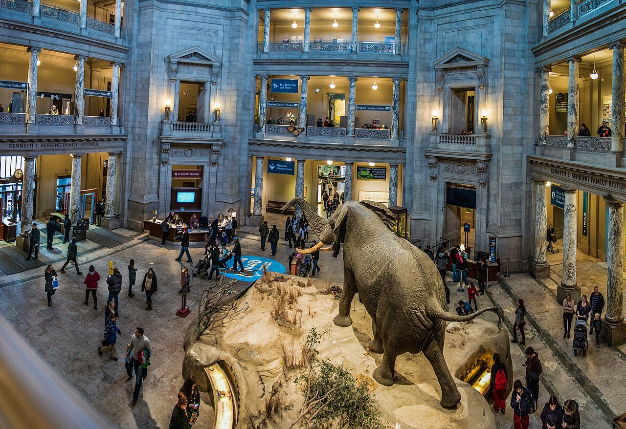 The rotunda of the Natural History Museum from the balcony, the elephant in the center
