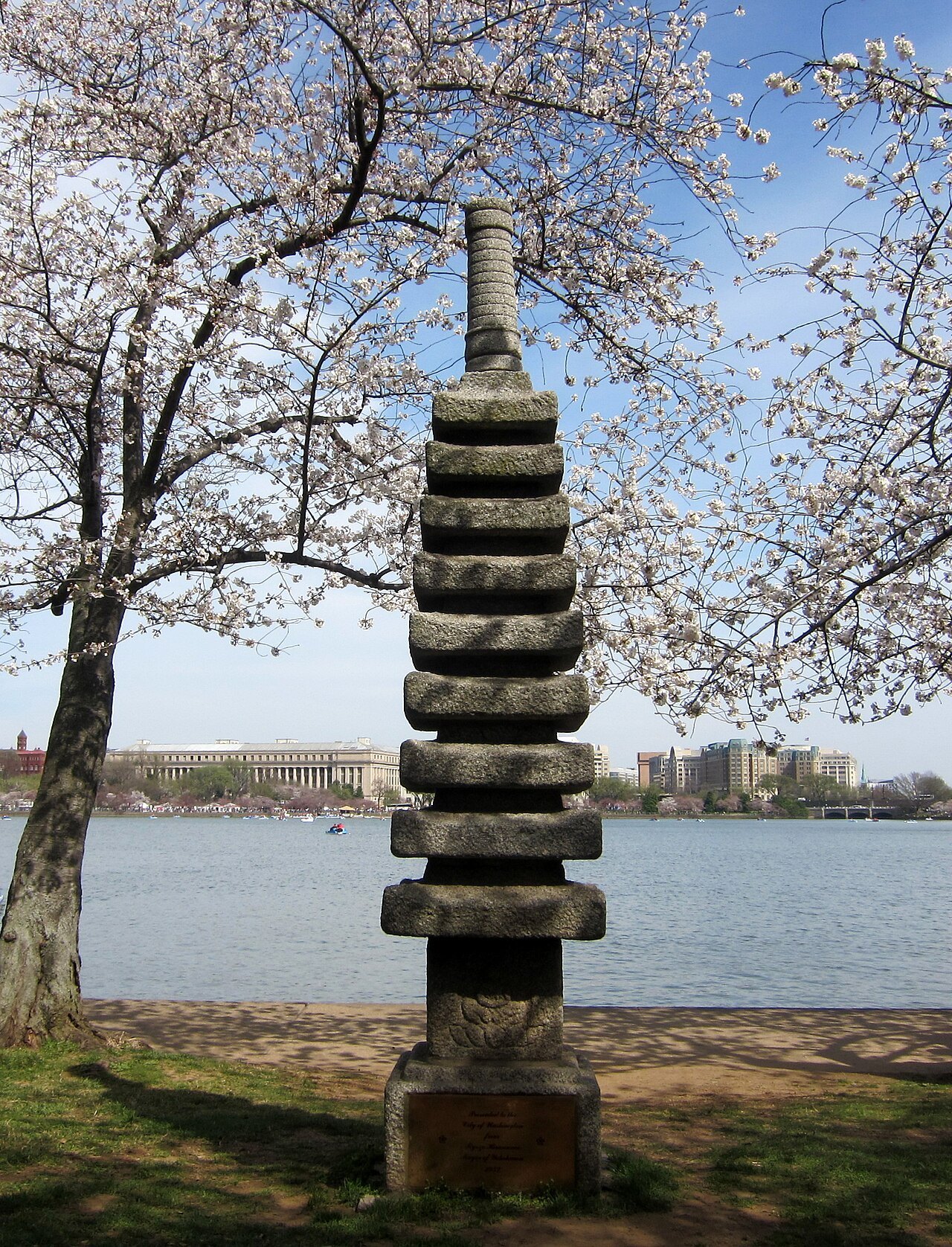 The stone pagoda from Yokohama beside the Tidal Basin, cherry trees in flower