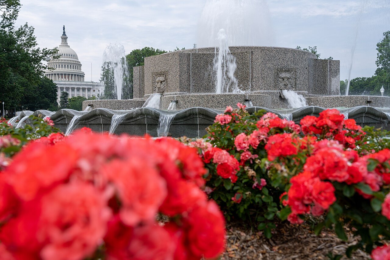 The Senate Fountain north of the Capitol, red roses in front