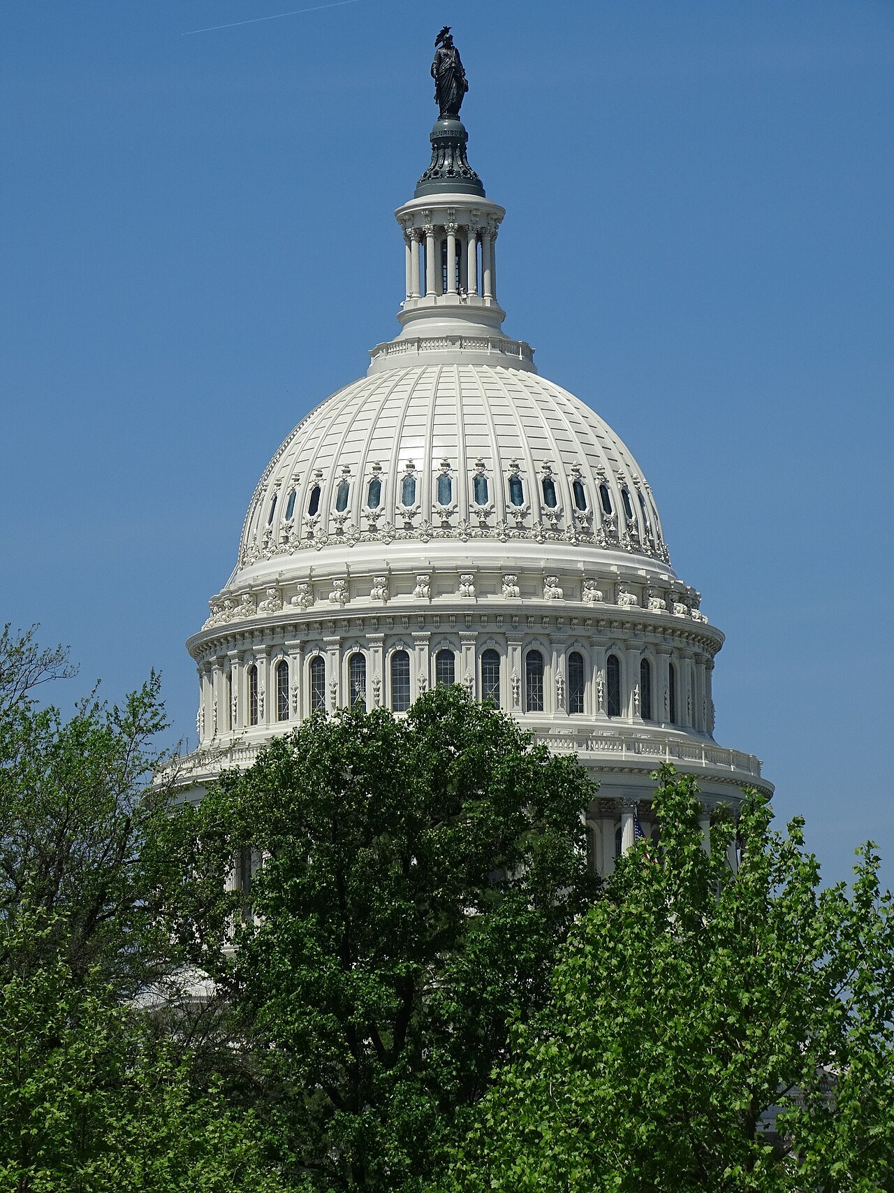 The Capitol dome rising above the trees of the grounds