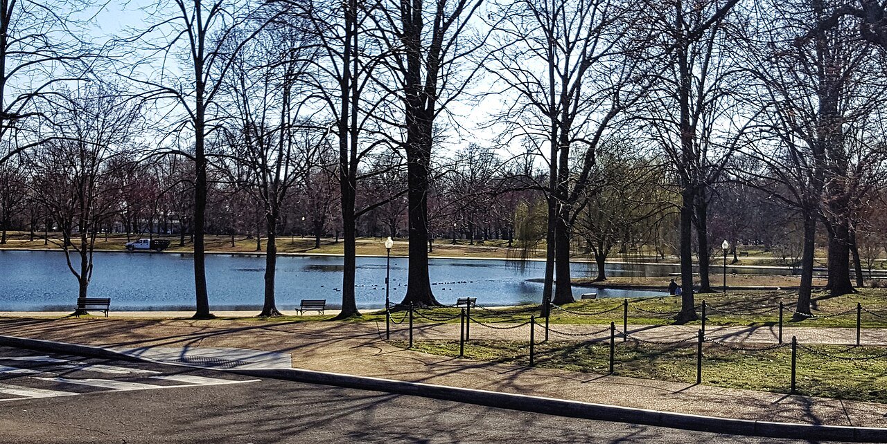 The pond in Constitution Gardens under bare winter trees